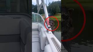 This Baby Rac Was Shaking And Cold