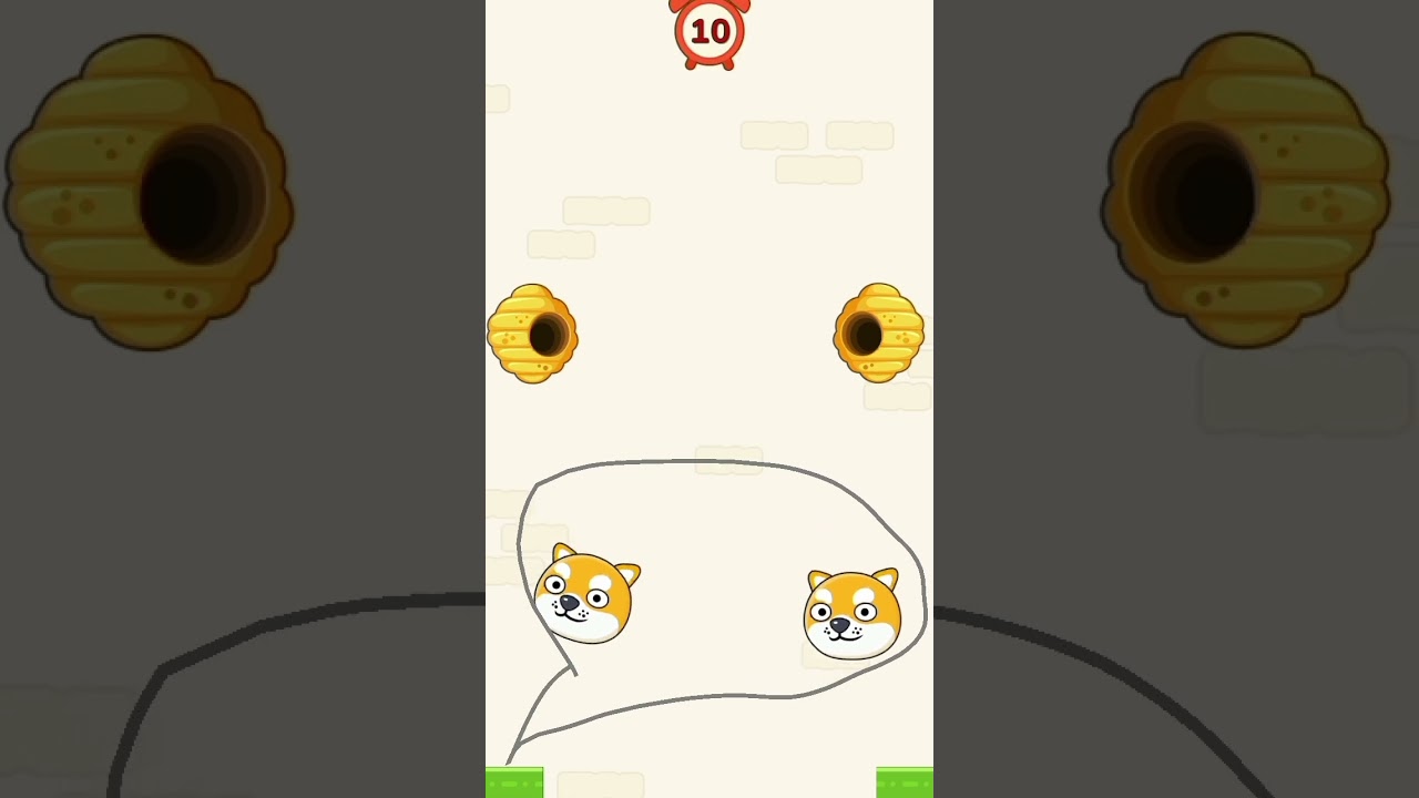 danger bee attack🍯🐝🐝😱