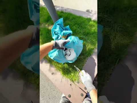 Lifehack 🔐 Warum ich meine Walze nie mehr sauber mache… ✅ ...#lifehack #maler #painter #fyp #diy