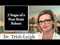 3 stages of a porn brain rewire  with dr trish leigh