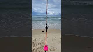 A Paz que eu preciso!!! #fishing #fish #beach #fishinglife #praia #pesca #pescaria #pescadepraia