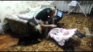 Cat defending baby from dad The clever cat protects the child Кот защищает ребенка