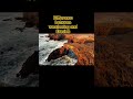 difference between weathering and Erosion