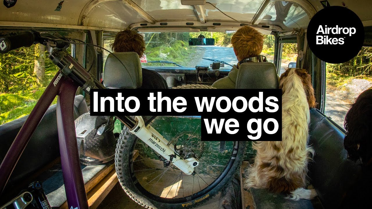 Into The Woods We Go - YouTube
