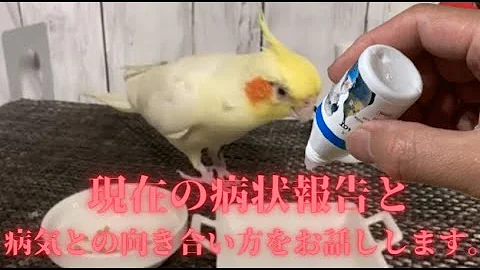 エキス تحميل Download Mp4 Mp3 エキス تحميل Download Mp4 Mp3