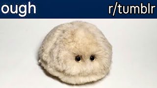 r/tumblr | ough