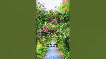 سورة الحج       ذالك بان الله هو الحق وانه يحيي الموتى