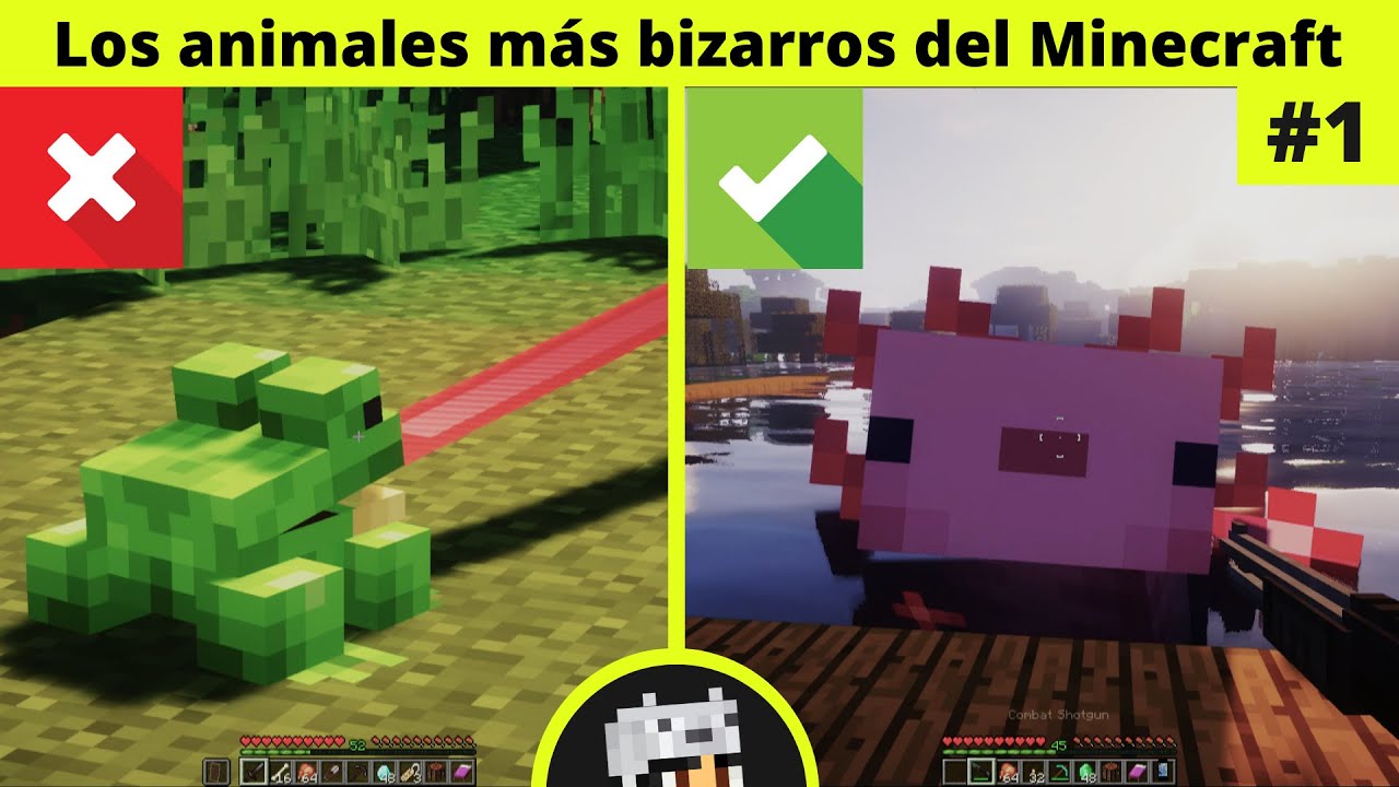 Los Animales más Bizarros y Cursed de todo el Minecraft #1 - YouTube
