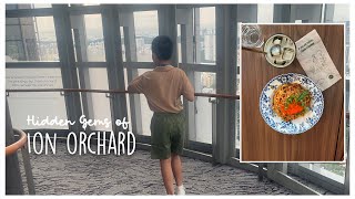 Hidden gems of Ion Orchard