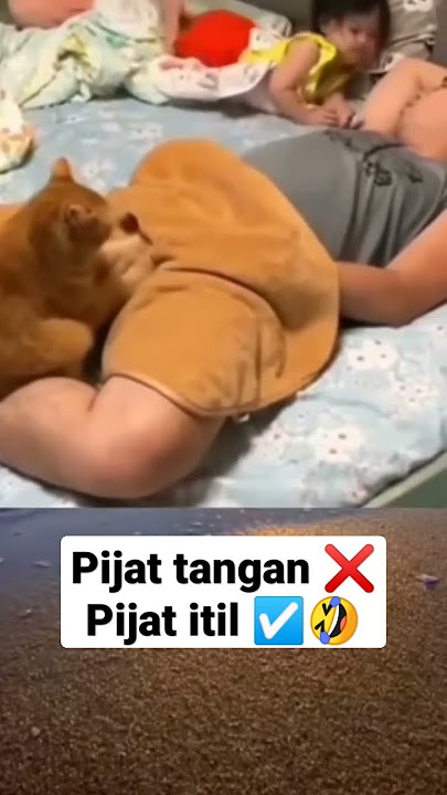 pijat tangan❌ pijat itil ☑️ #funnyvideo #funnycats #shorts #shortvideo #cutecat #cutebaby #drama