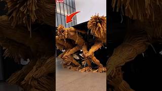 Obra de Corea que te dejará pensando🤯 #datoscuriosos #shorts  #sabiasque #viral #animals #misterio