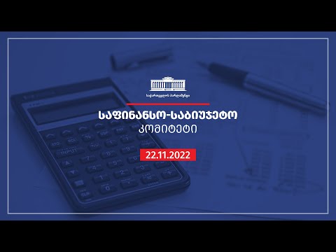 საგარეო ურთიერთობათა კომიტეტის სხდომა  - 25.11.2022