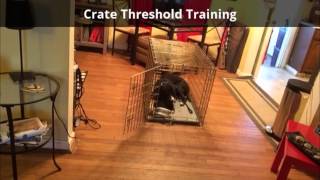 Ace's Training