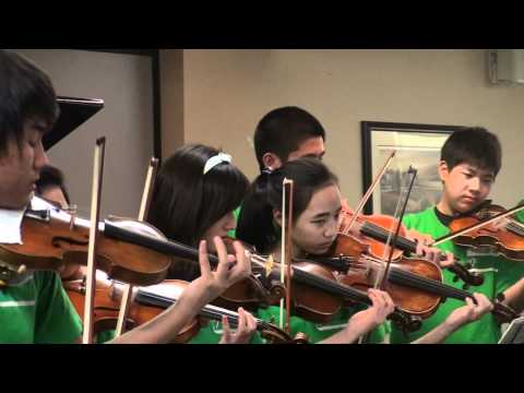 Music Performance at Lytton Gardens Palo Alto 1/8/2011 (by BAYMS) part 8