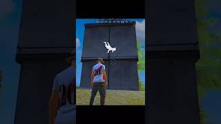 Free Fire, someone killed me from the wall🤫👀👀