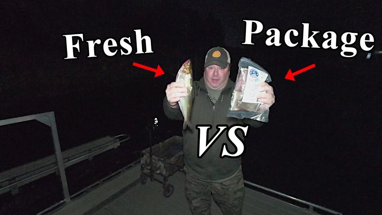 Fresh Bait vs Package Bait! (Lesson Learned) YouTube