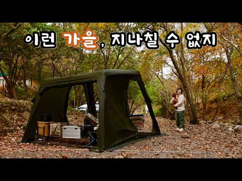 가을 단풍 숲속과 계곡 캠핑을 동시에ㅣ낭만 초과 반칙 아닌가요?🍂가을 냄새 끝판왕 캠핑🐶애견동반ㅣ홍천 서석