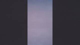 Focus Fields - Grey Buffer