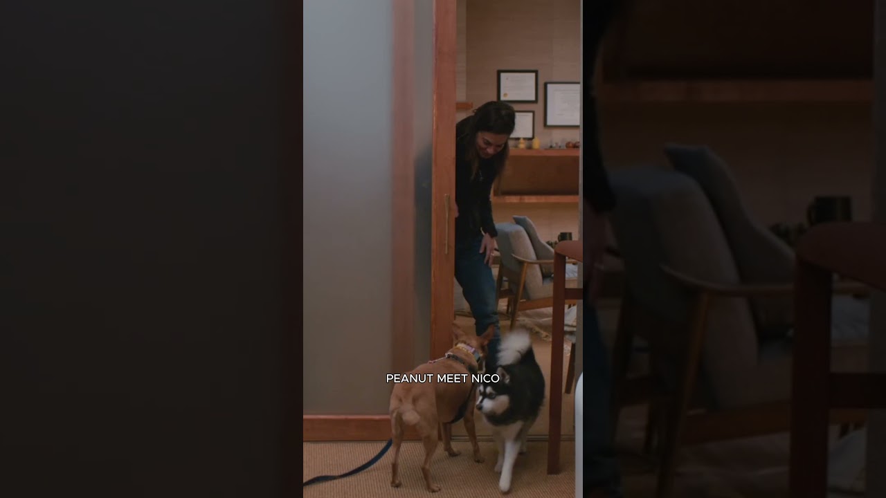 Stop scrolling for this very wholesome dog content 🐶 