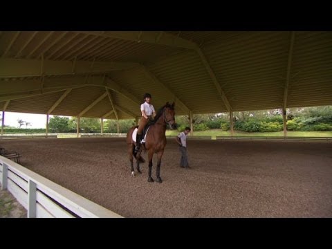 27 Million For This Luxury Horse Farm Youtube
