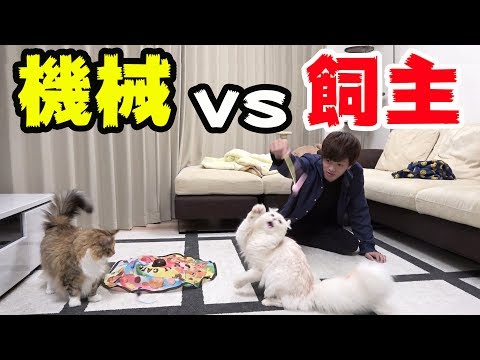 飼い主が機械に負けるわけねぇ!