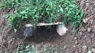 How to Build a Tortoise Cave for FREE!