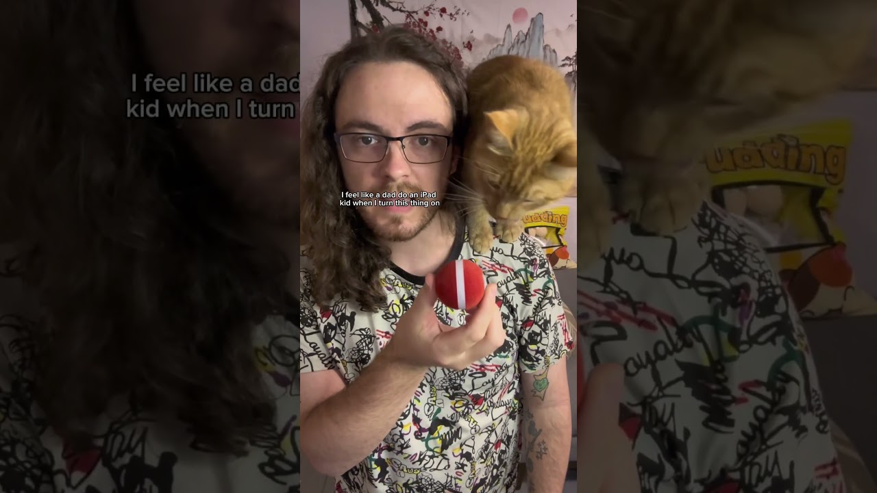 My cat’s favorite hands free toy!