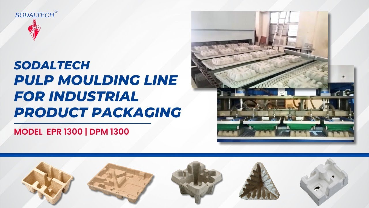 Pulp Moulding Machine for Industrial Product Packaging | Global Manufacturer & Exporter