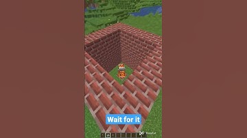 Minecraft weird logic part #3 🧐🔥🔥  Wait for it #shorts #weirdlogic #minecraft