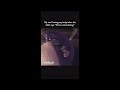 Charlie the Wonderdog: Terrible Alien Pets Trailer (2026)