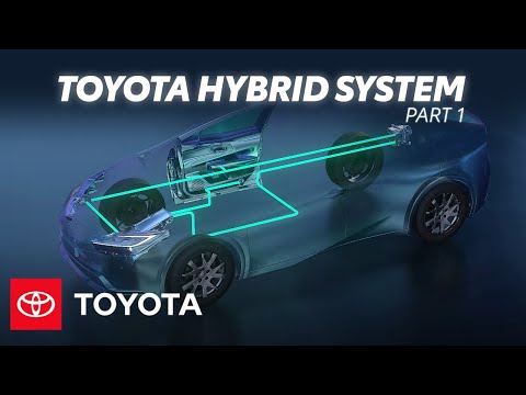 Video: Waar begonnen hybriden?