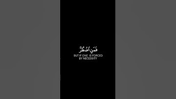 [سورة البقرة:آية«١٧٣»] | القارئ محمد هشام 💚| كروما سوداء قرآن كريم.
