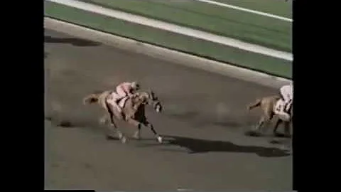 Silky Sullivan - The greatest come-from-behind run...