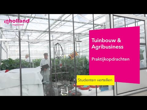 Tuinbouw & Agribusiness | Praktijkopdrachten