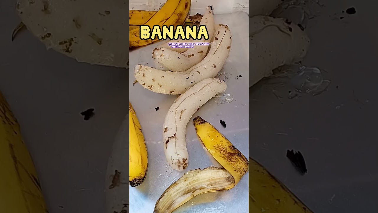 Chicken Banana Chicken Banana Chicken banana banana banana.