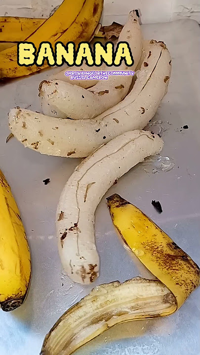 Chicken Banana Chicken Banana Chicken banana banana banana.