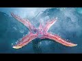 Questa gigantesca pianta aliena minaccia la completa estinzione dell'umanità