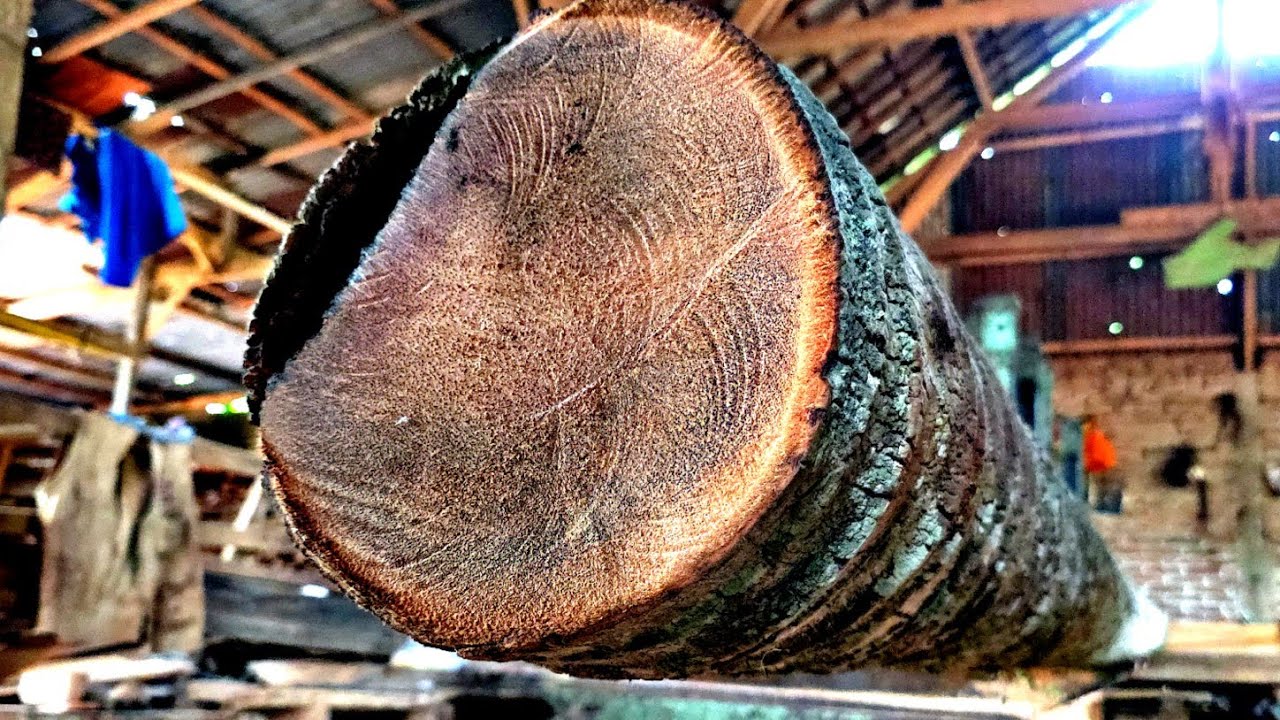 Explode!! Super long and old coconut wood on a saw in a wood factory 