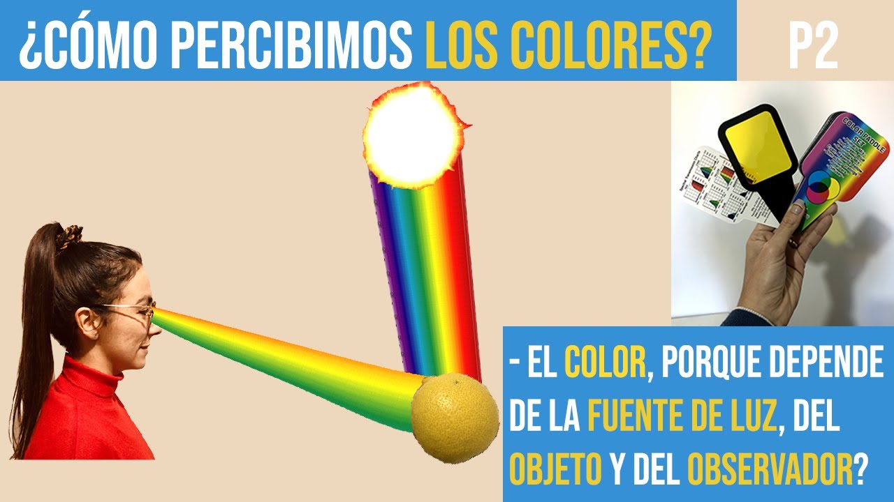 De dónde viene el color de los objetos?