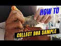 How to collect DNA Sample | Love birds DNA Sampling | Birds DNA | HWI Aviary