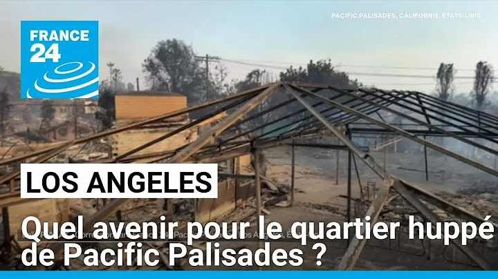 À Los Angeles, un avenir plus qu'incertain après l'incendie à Pacific Palisades • FRANCE 24