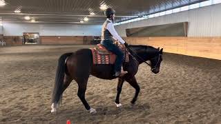 Better Dressage Scores WDAA Intro Test 2