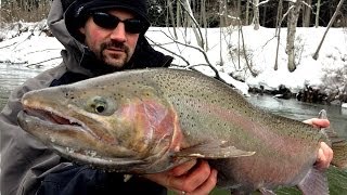 Float Fishing Steelhead