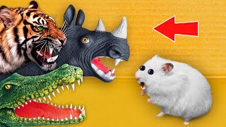 🐅TIGER, 🐊CROCODILE & 🦏RHINO - Hamster Maze with Traps ☠️ [OBSTACLE COURSE]