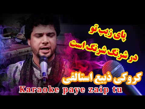        کروکی پای زیب تو