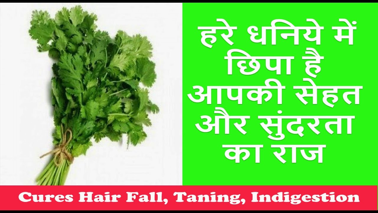 हरे धनिये में छिपा है आपकी सेहत और सुंदरता का राज Coriander Leaves Health And Beauty Benefits