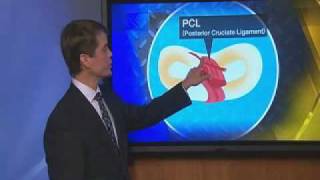 The Injury Report 2009 -- Dr. Lesh