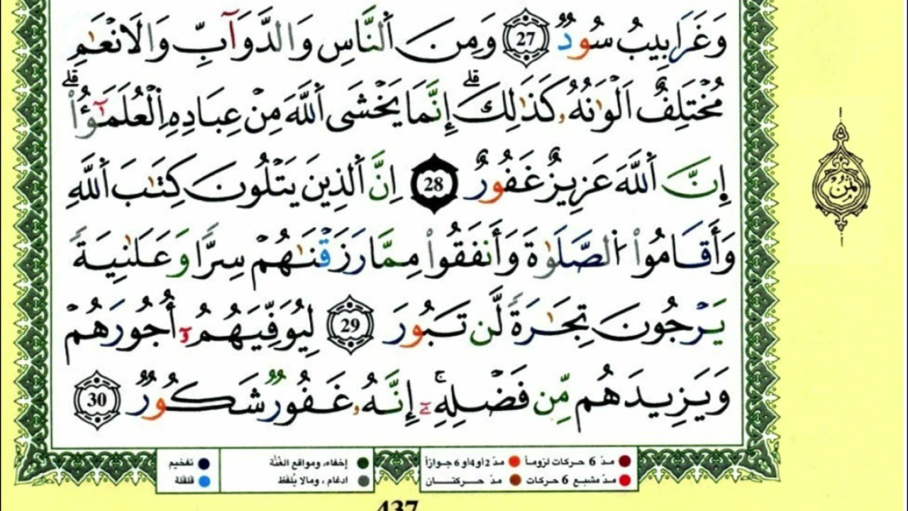 سورة فاطر  للقارئ ياسين الجزائري برواية ورش