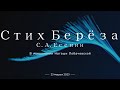 Стихотворение С. А. Есенина - Берёза, в исполнении Наташи Лобачевской