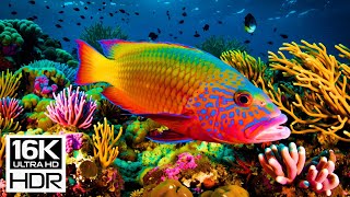 🐳 16K HDR | Secrets of the Silent Ocean – Witness the Hidden Beauty Below